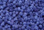 Sell  Blueberry Anthocyanin